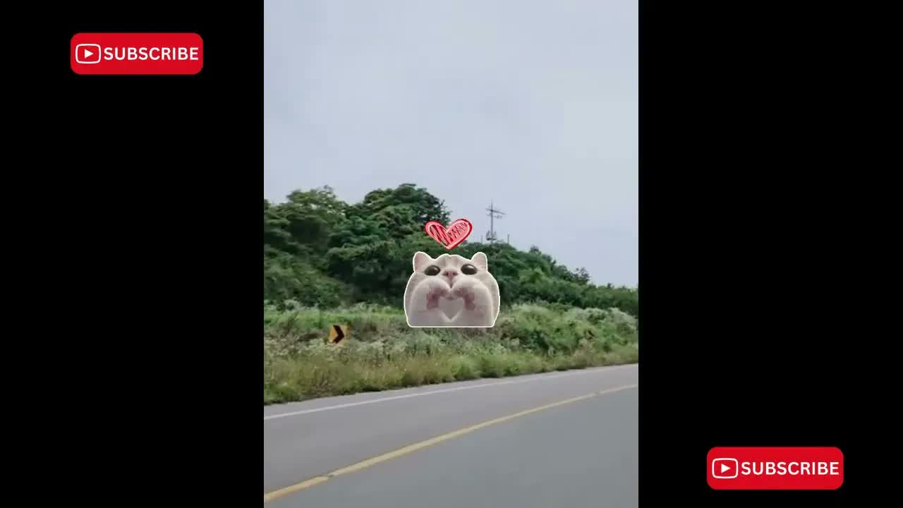 Anh Ben Travel Số 1009
