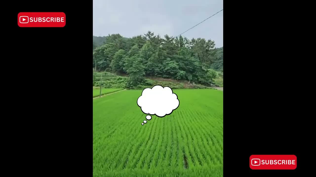 Anh Ben Travel Số 1018