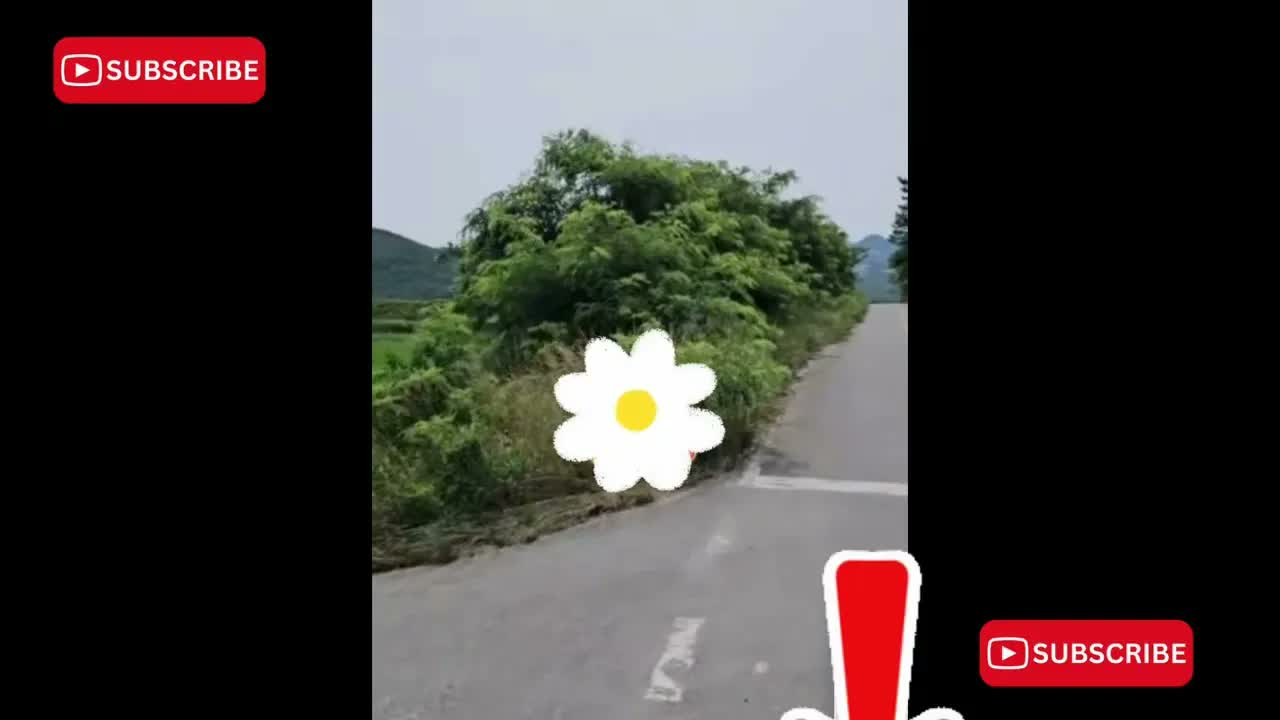 Anh Ben Travel Số 1021