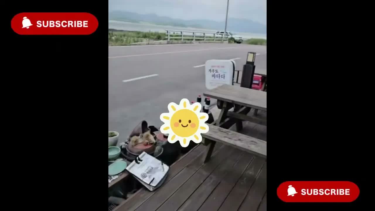 Anh Ben Travel Số 1068