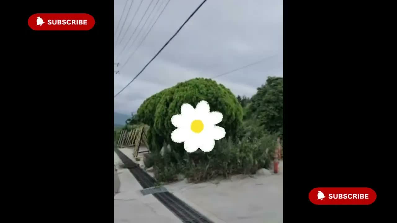 Anh Ben Travel Số 1084