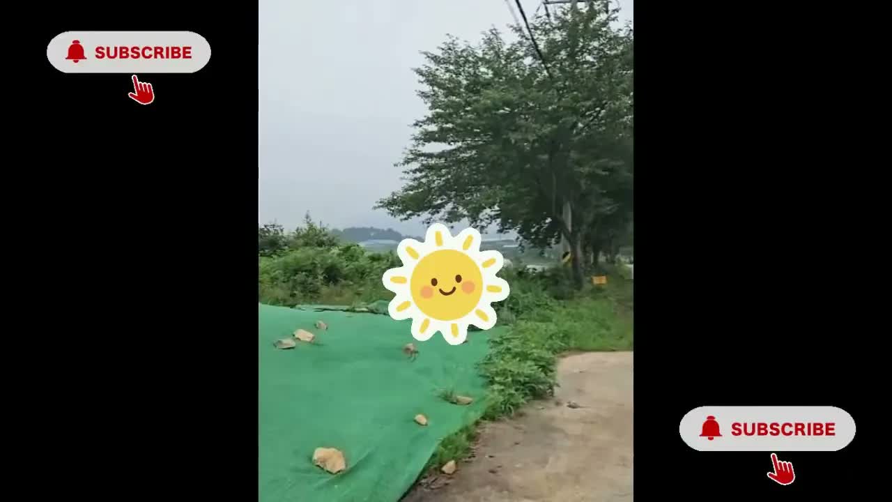 Anh Ben Travel Số 1101
