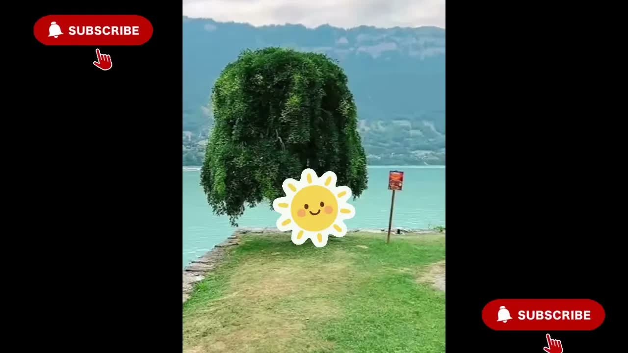 Anh Ben Travel Số 1216