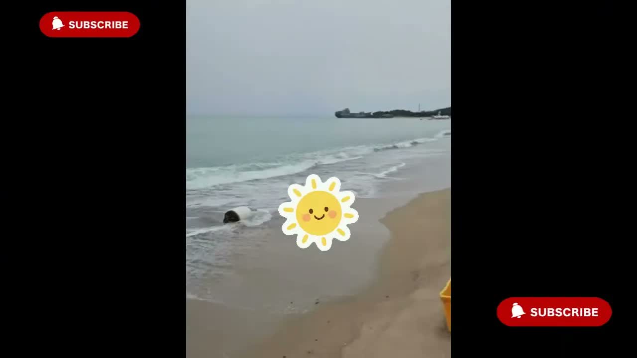 Anh Ben Travel Số 1335 - Hàn Quốc và những thiên đường giữa biển khơi