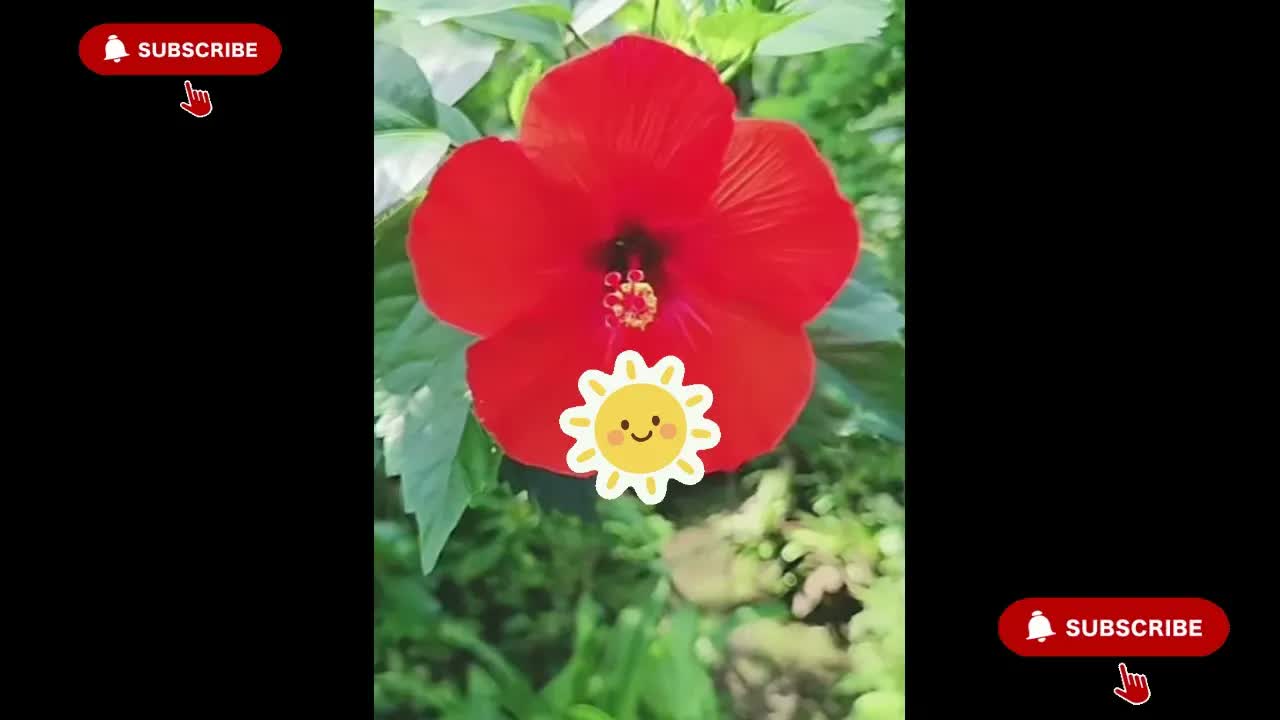 Anh Ben Travel Số 1356