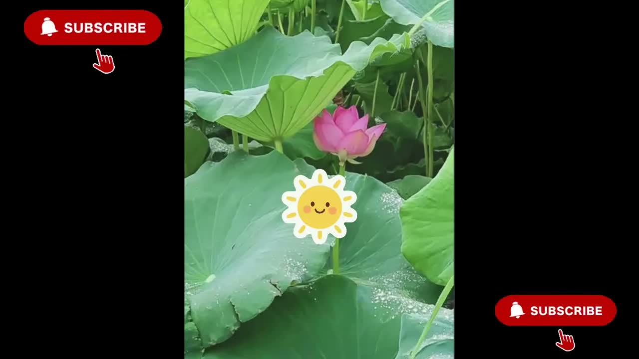 Anh Ben Travel Số 1393
