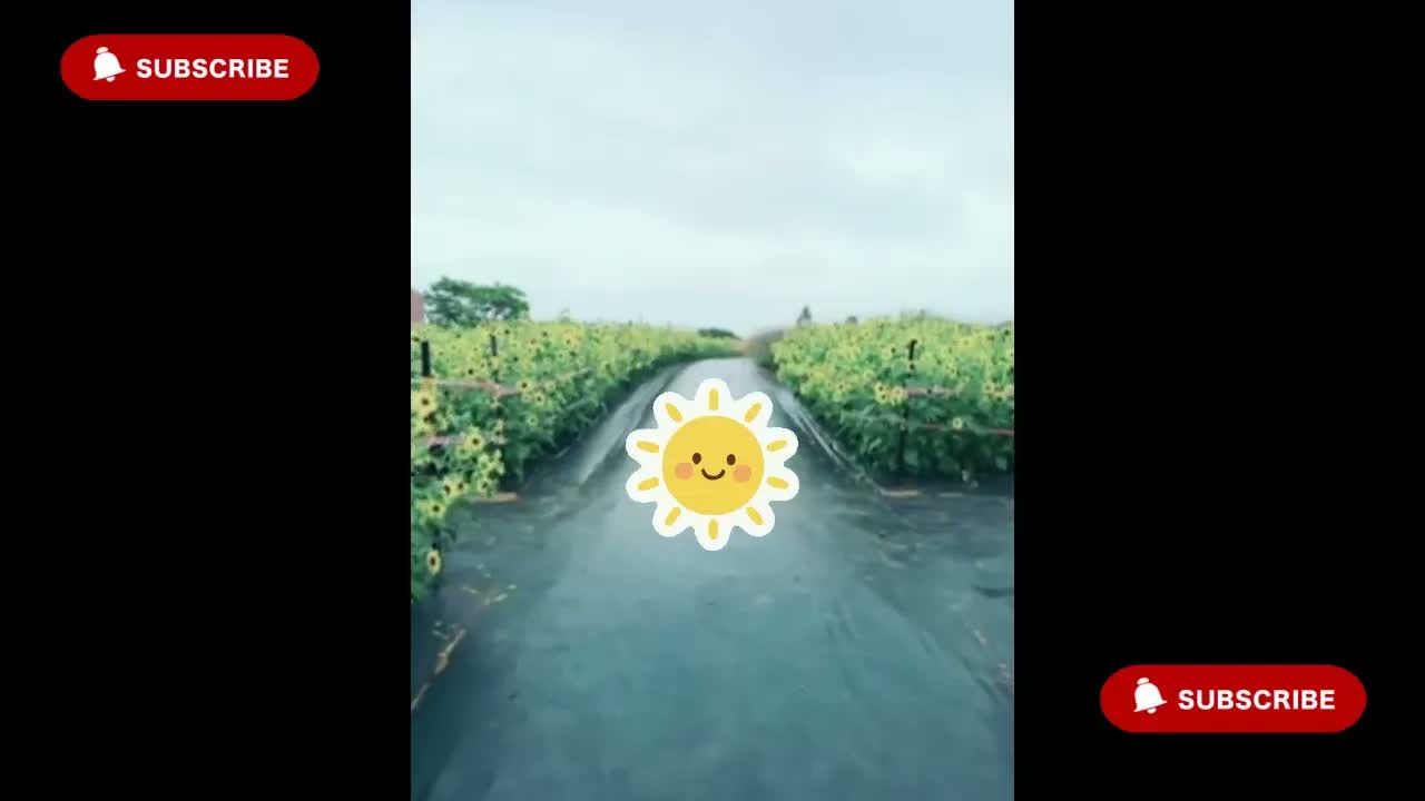 Anh Ben Travel Số 1475