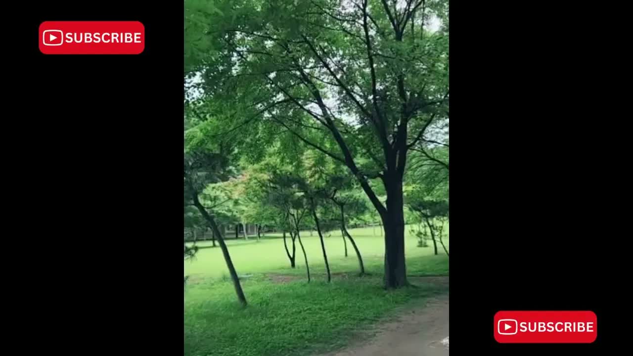 Anh Ben Travel Số 964