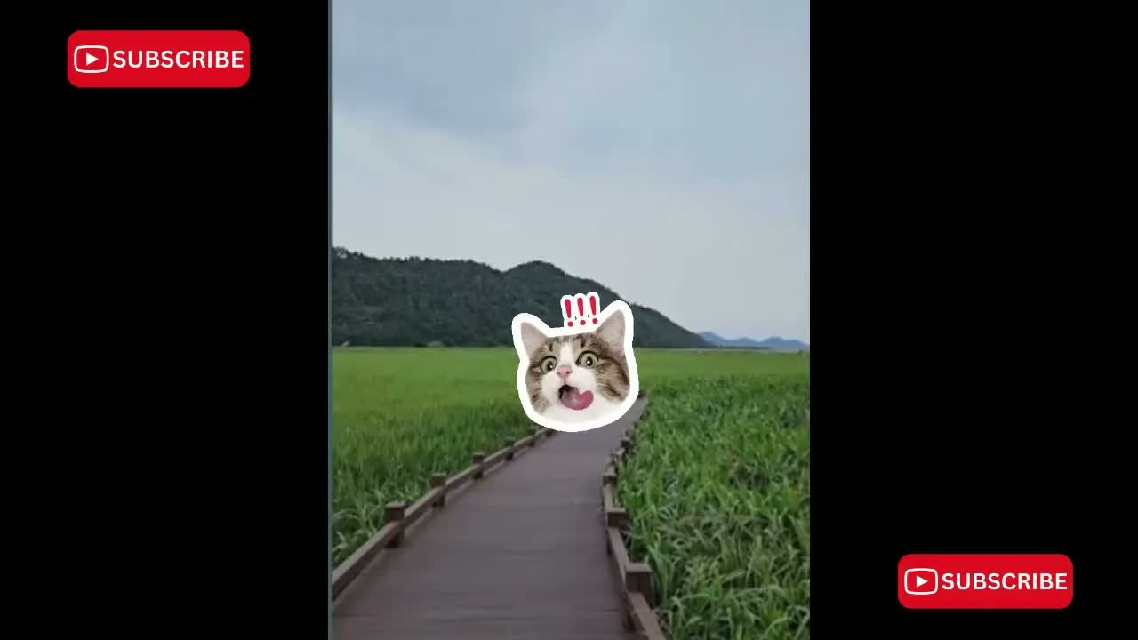 Anh Ben Travel Số 969